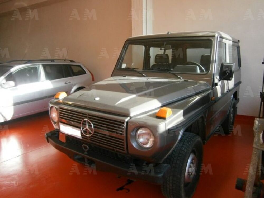 Mercedes-Benz 250 250 GD corto Station Wagon (2)