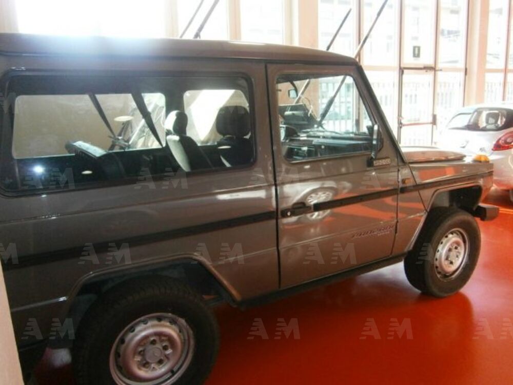 Mercedes-Benz 250 250 GD corto Station Wagon (3)