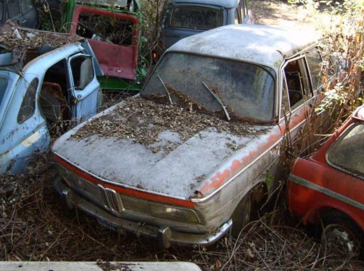 BMW Serie 3 316i cat 2 porte (2)