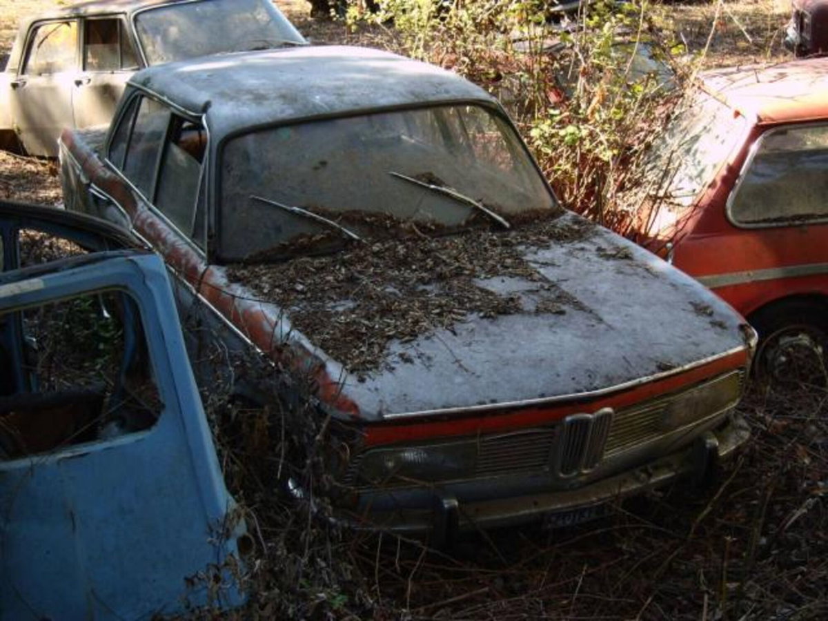 BMW Serie 3 316i cat 2 porte (3)