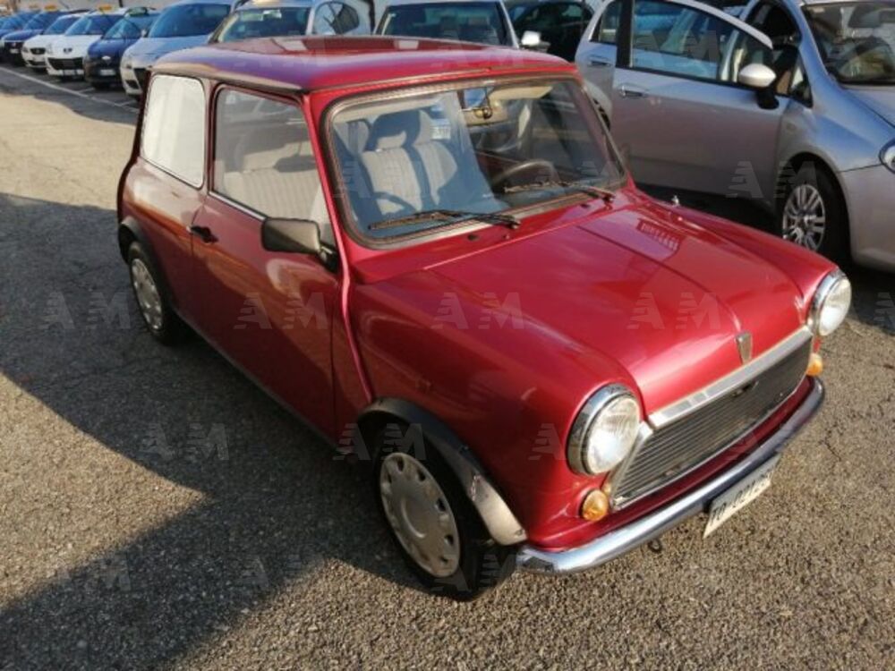 Rover Mini 1.3 cat Nightfire (3)