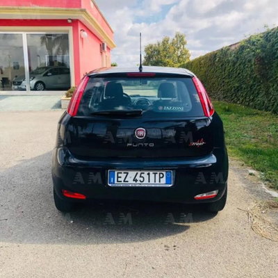 Fiat Punto 1.3 MJT II 75 CV 5 porte Street (3)