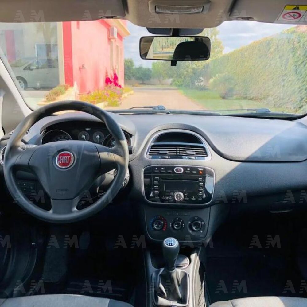 Fiat Punto 1.3 MJT II 75 CV 5 porte Street (4)