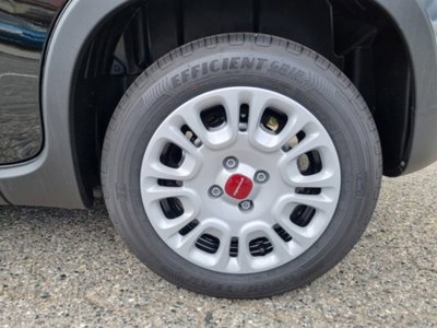 Fiat Panda 1.0 firefly hybrid s&s 70cv (11)