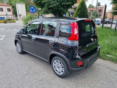 Fiat Panda 1.0 firefly hybrid s&s 70cv (3)