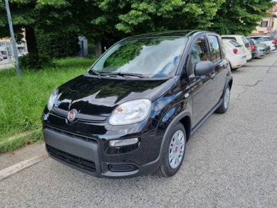 Fiat Panda 1.0 firefly hybrid s&s 70cv (4)