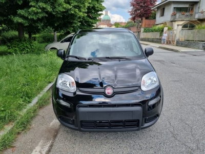 Fiat Panda 1.0 firefly hybrid s&s 70cv (5)