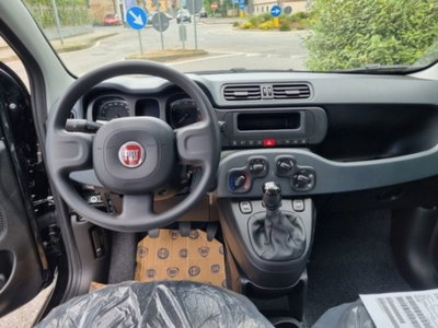 Fiat Panda 1.0 firefly hybrid s&s 70cv (9)