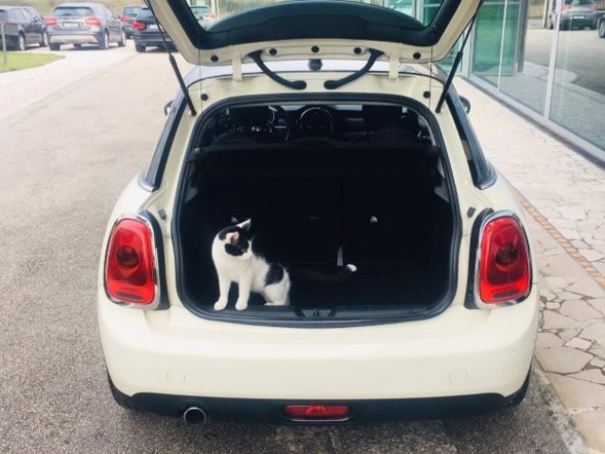 MINI Mini 1.5 Cooper D Business 5 porte (9)