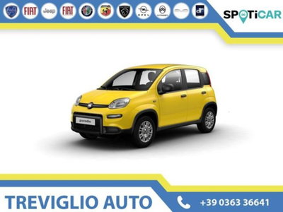 Fiat Panda 1.0 firefly hybrid s&s 70cv 5p.ti nuova