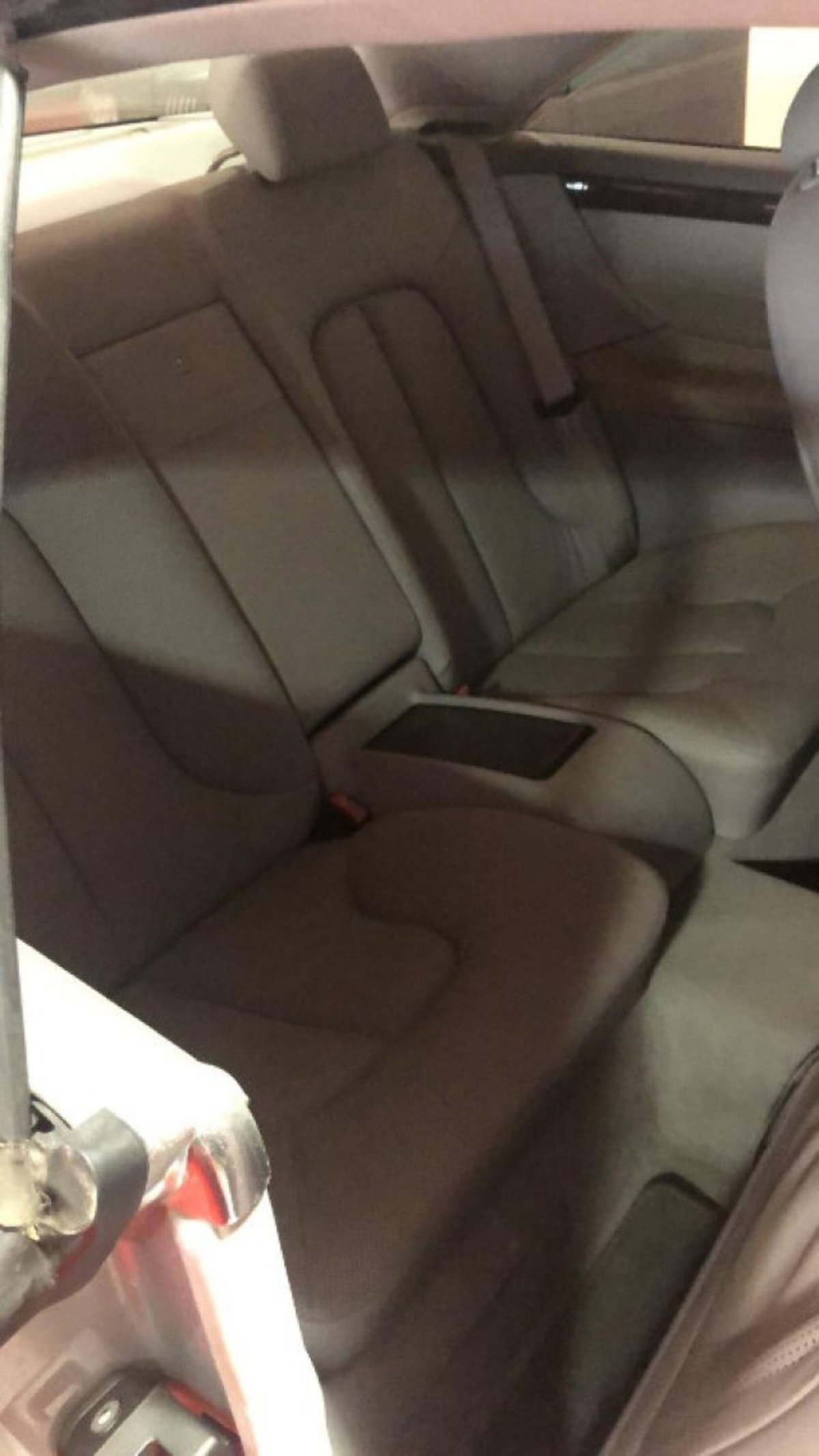Mercedes-Benz CL 500 cat (10)