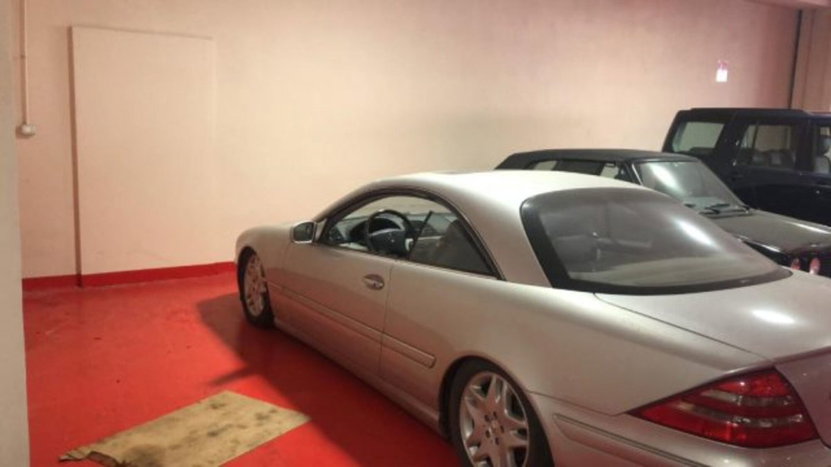 Mercedes-Benz CL 500 cat (13)