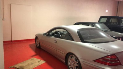 Mercedes-Benz CL 500 cat (13)
