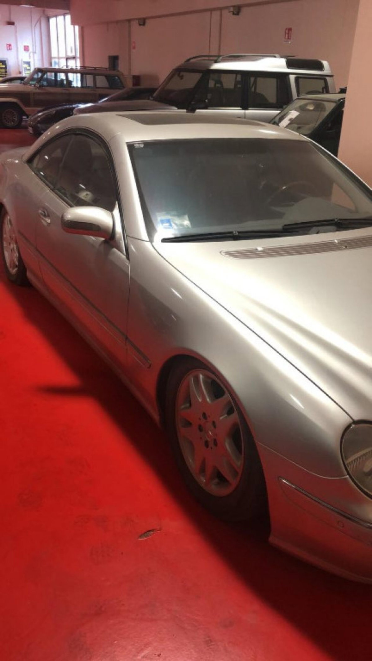 Mercedes-Benz CL 500 cat (4)