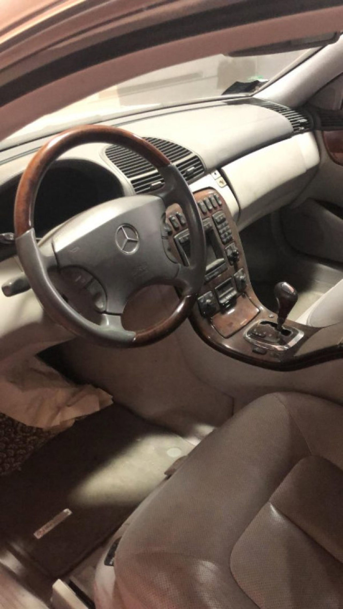 Mercedes-Benz CL 500 cat (6)
