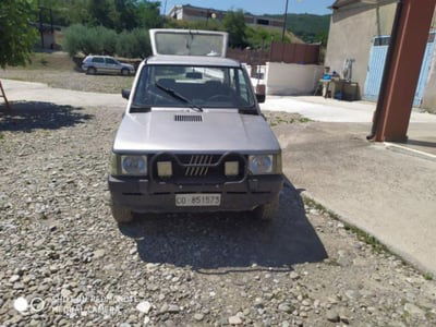 Fiat Panda 4x4 usata