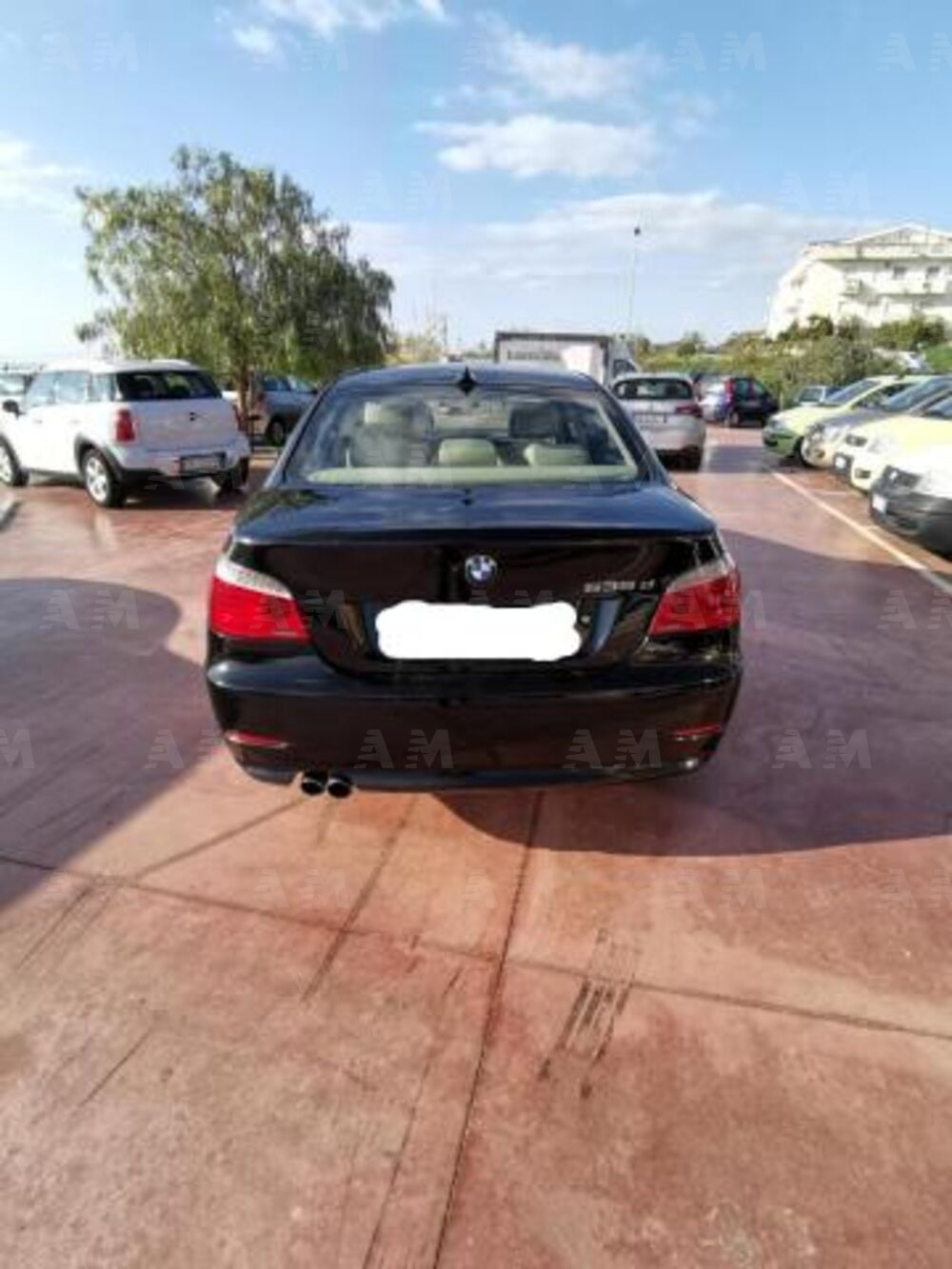 BMW Serie 5 535d cat Eccelsa (2)