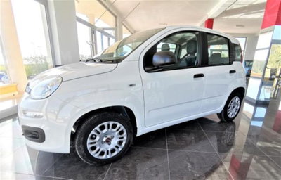 Fiat Panda 1.2 EasyPower Lounge (2)