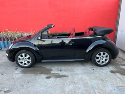 Volkswagen New Beetle Cabrio TDI 101CV (2)