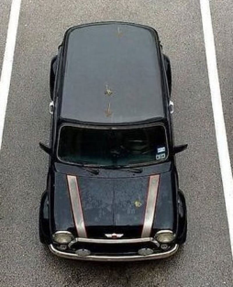 Rover Mini 1.3 cat 35° Anniversario