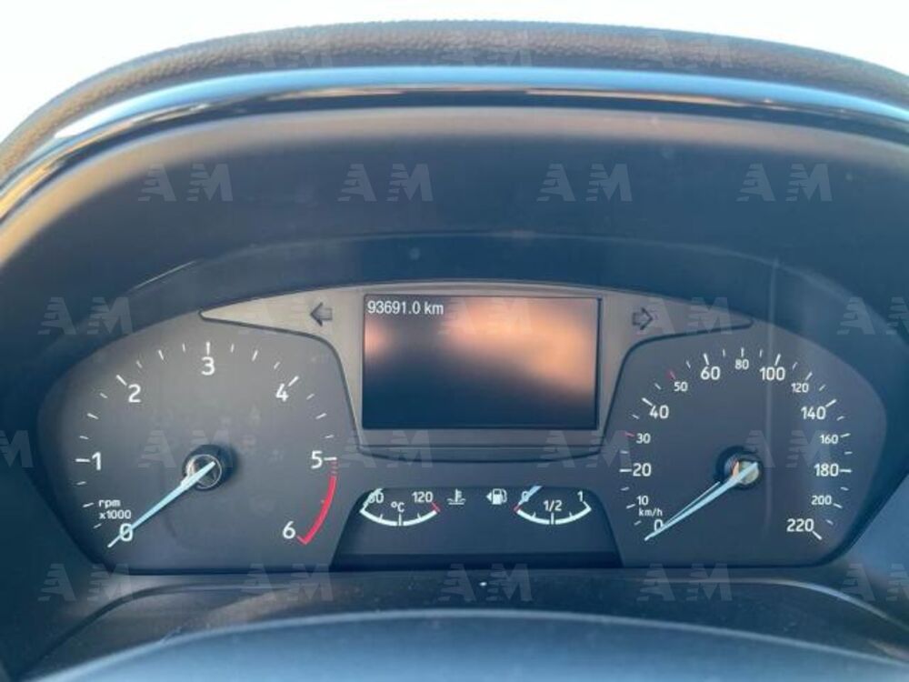 Ford Fiesta 1.5 TDCi 5 porte ST-Line (8)