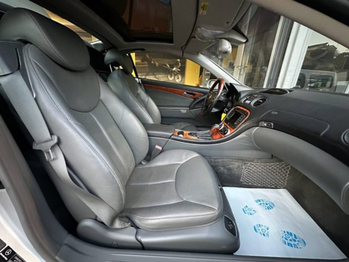 Mercedes-Benz SL 500 cat (12)