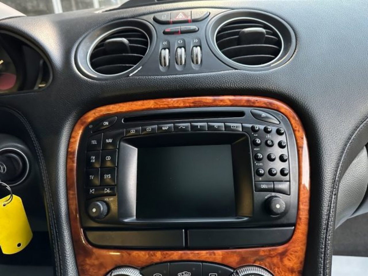 Mercedes-Benz SL 500 cat (14)