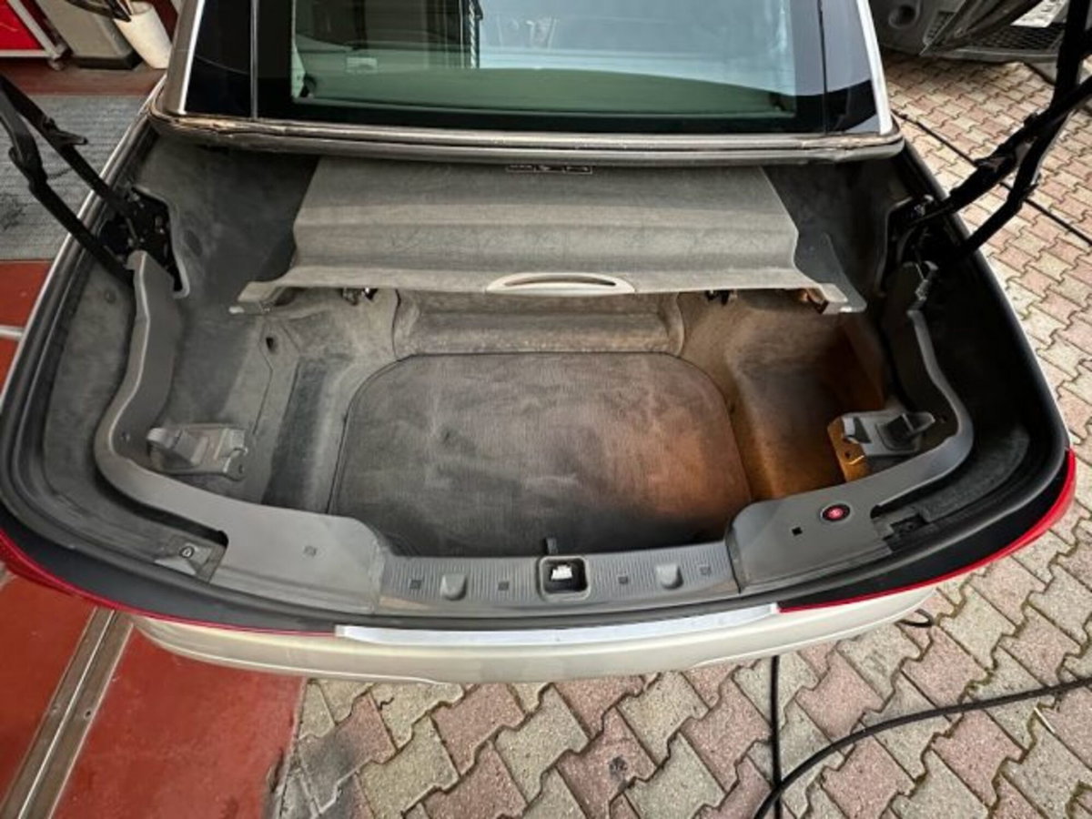 Mercedes-Benz SL 500 cat (17)
