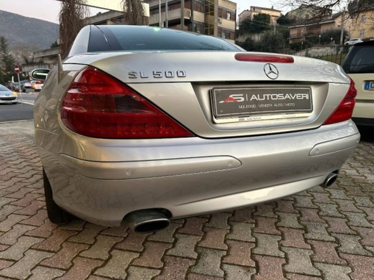 Mercedes-Benz SL 500 cat (19)