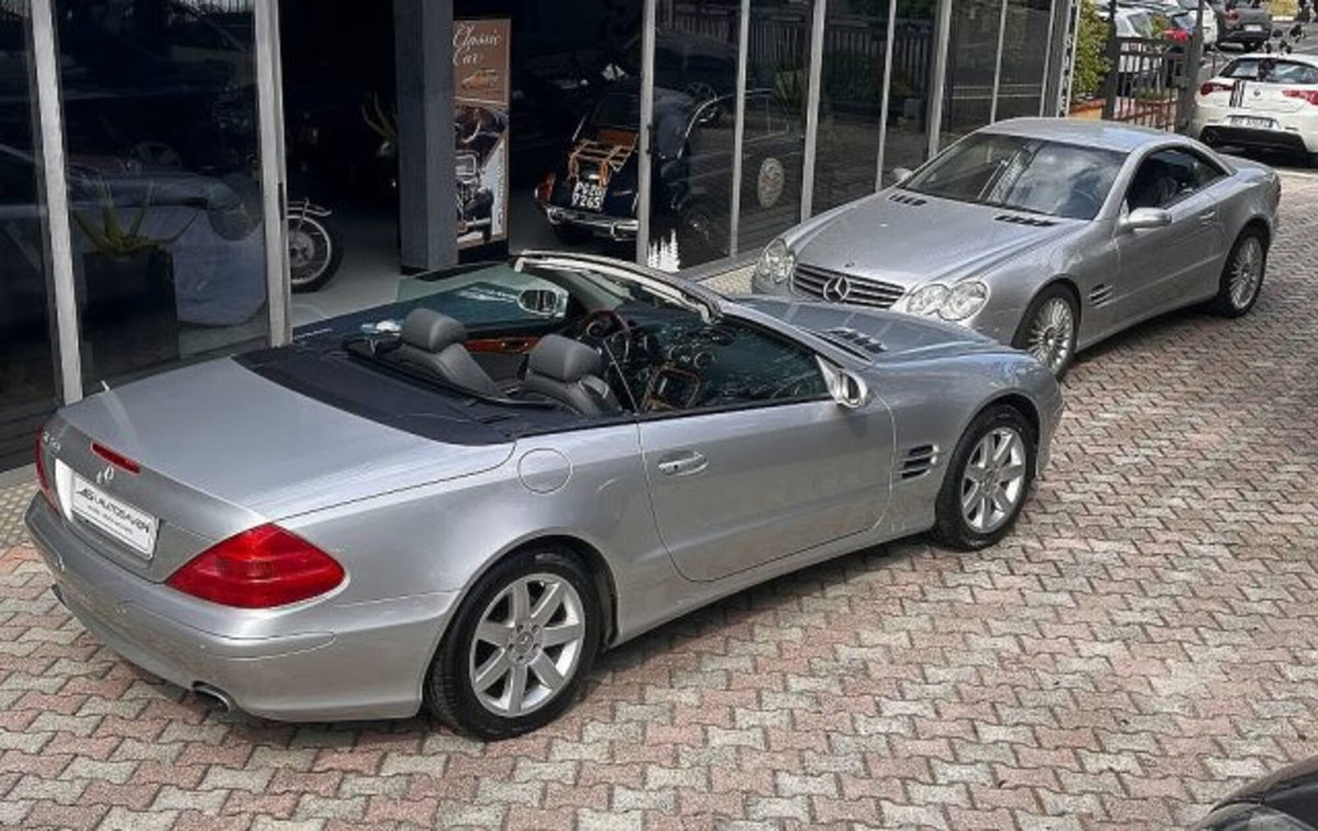 Mercedes-Benz SL 500 cat (2)