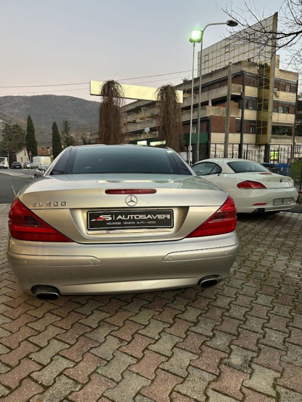 Mercedes-Benz SL 500 cat (20)