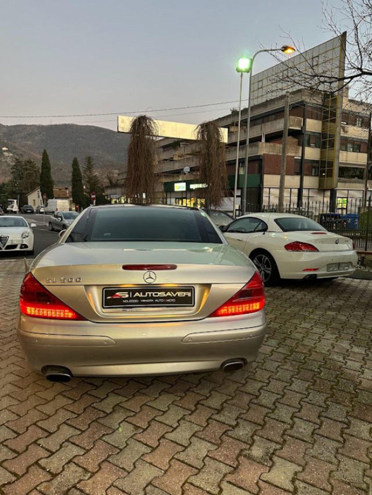 Mercedes-Benz SL 500 cat (3)