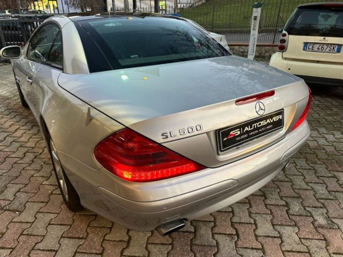 Mercedes-Benz SL 500 cat (4)