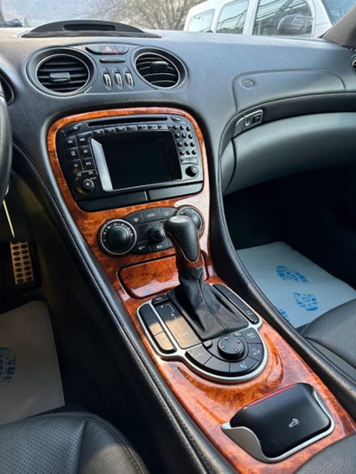 Mercedes-Benz SL 500 cat (7)