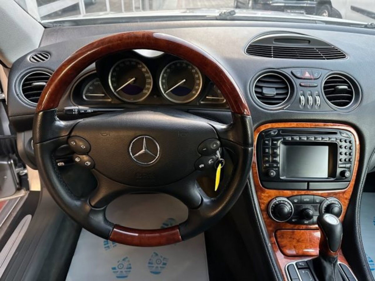 Mercedes-Benz SL 500 cat (8)