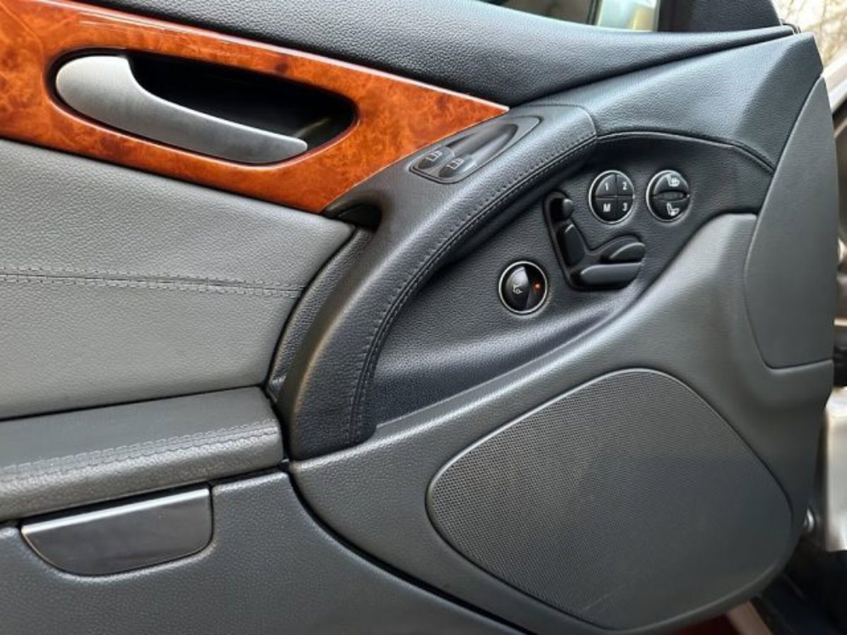 Mercedes-Benz SL 500 cat (9)