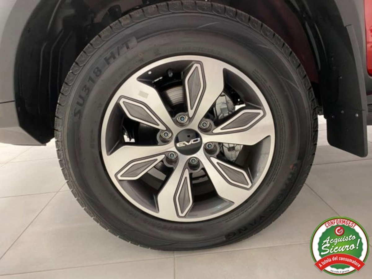 Evo Evo Cross 4 2.0 turbo diesel 136cv (20)