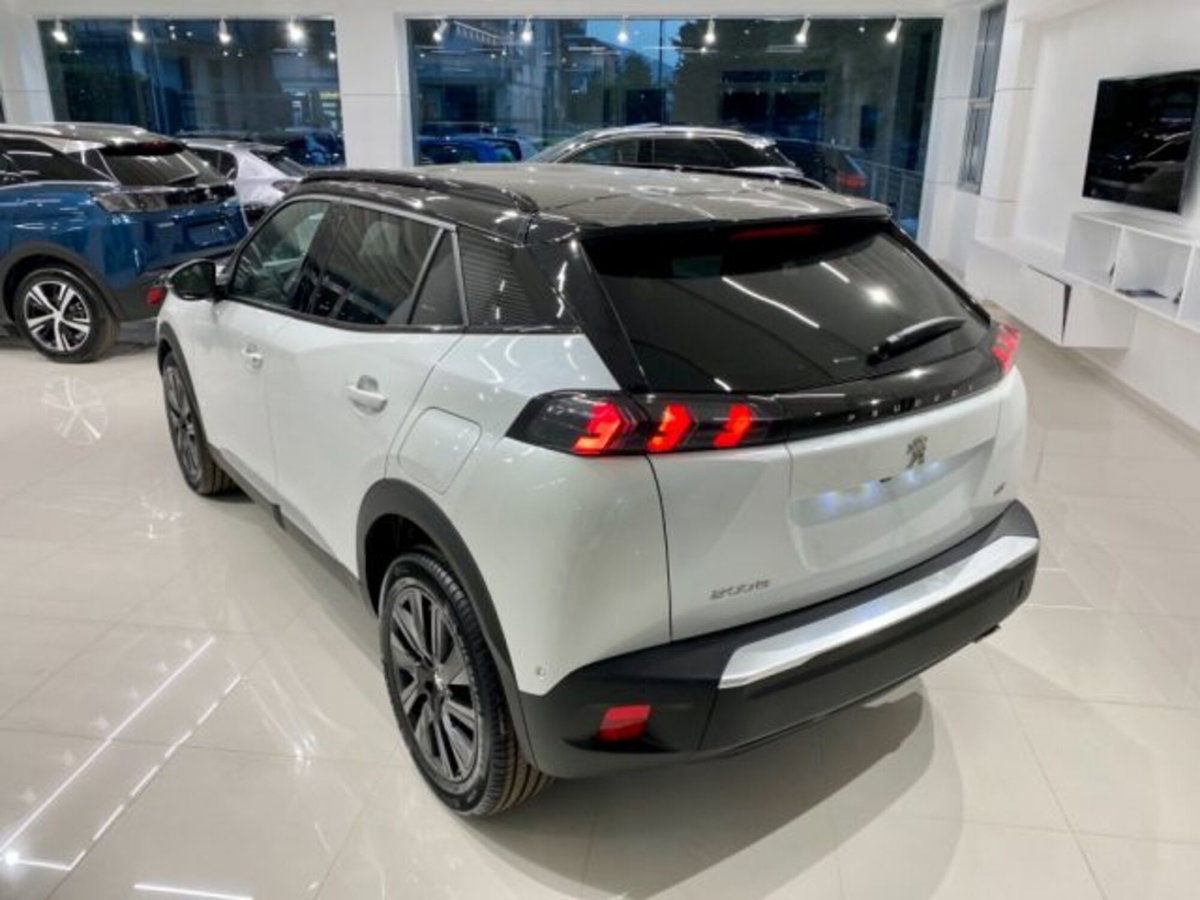 Peugeot 2008 BlueHDi 130 S&S EAT8 GT Pack (15)