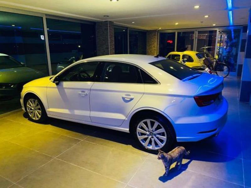 Audi A3 Sedan 30 TDI S tronic Business