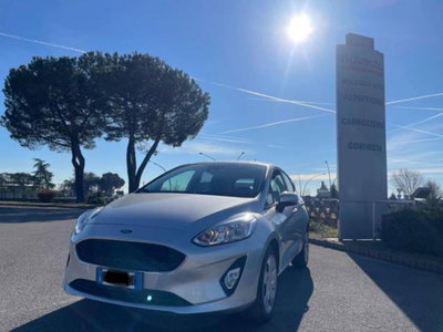 Ford Fiesta 1.5 TDCi 5 porte Plus (2)