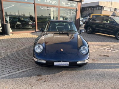 Porsche 911 Cabrio Carrera cat (3)