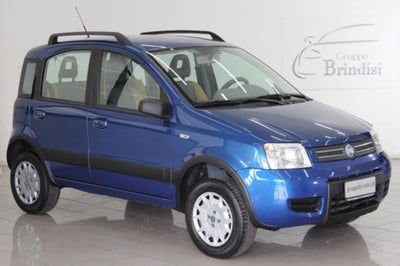 Fiat Panda 1.2 4x4 usata