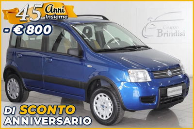 Fiat Panda 1.2 4x4 usata