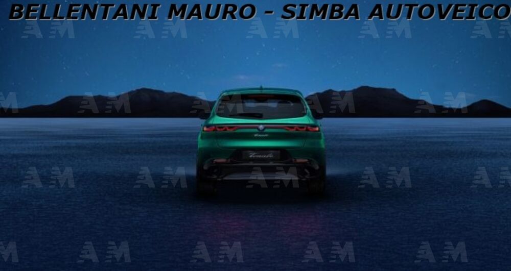 Alfa Romeo Tonale Tonale 1.6 diesel 130 CV TCT6 Ti (4)