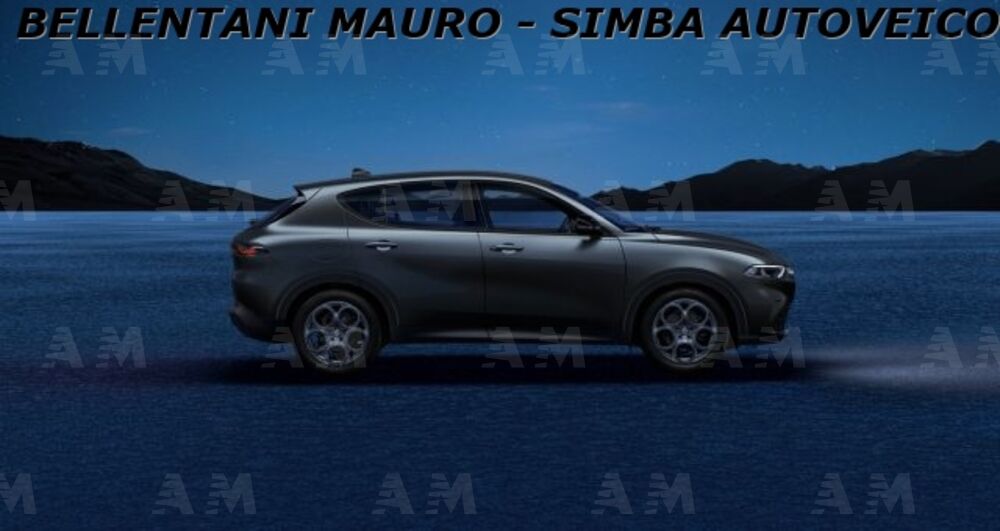 Alfa Romeo Tonale Tonale 1.6 diesel 130 CV TCT6 Super (2)