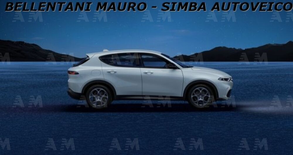 Alfa Romeo Tonale Tonale 1.6 diesel 130 CV TCT6 Super (2)