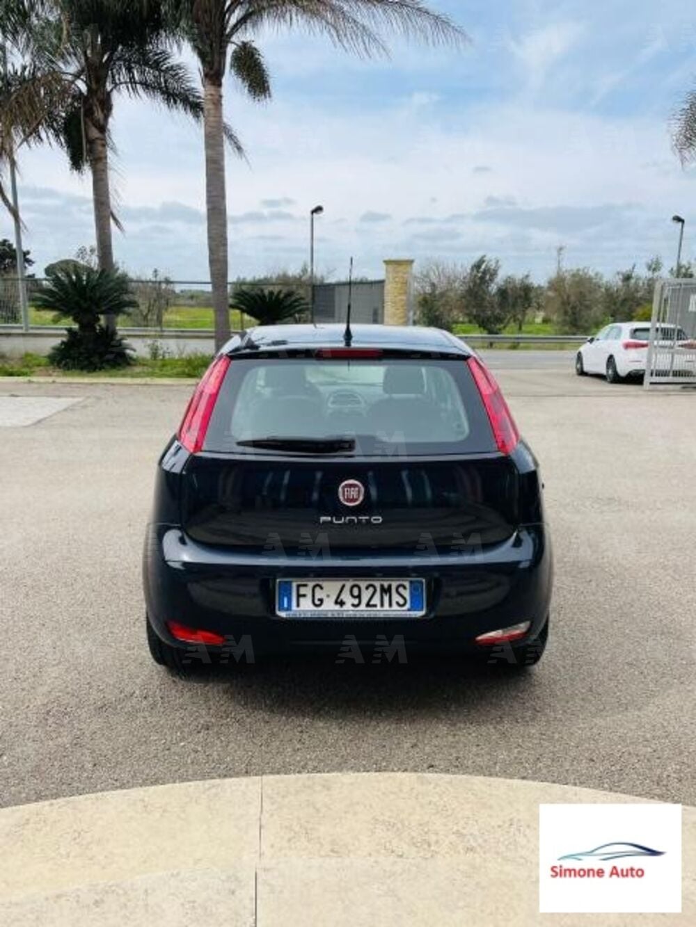 Fiat Punto 1.3 MJT II S&S 95 CV 5 porte Street (3)