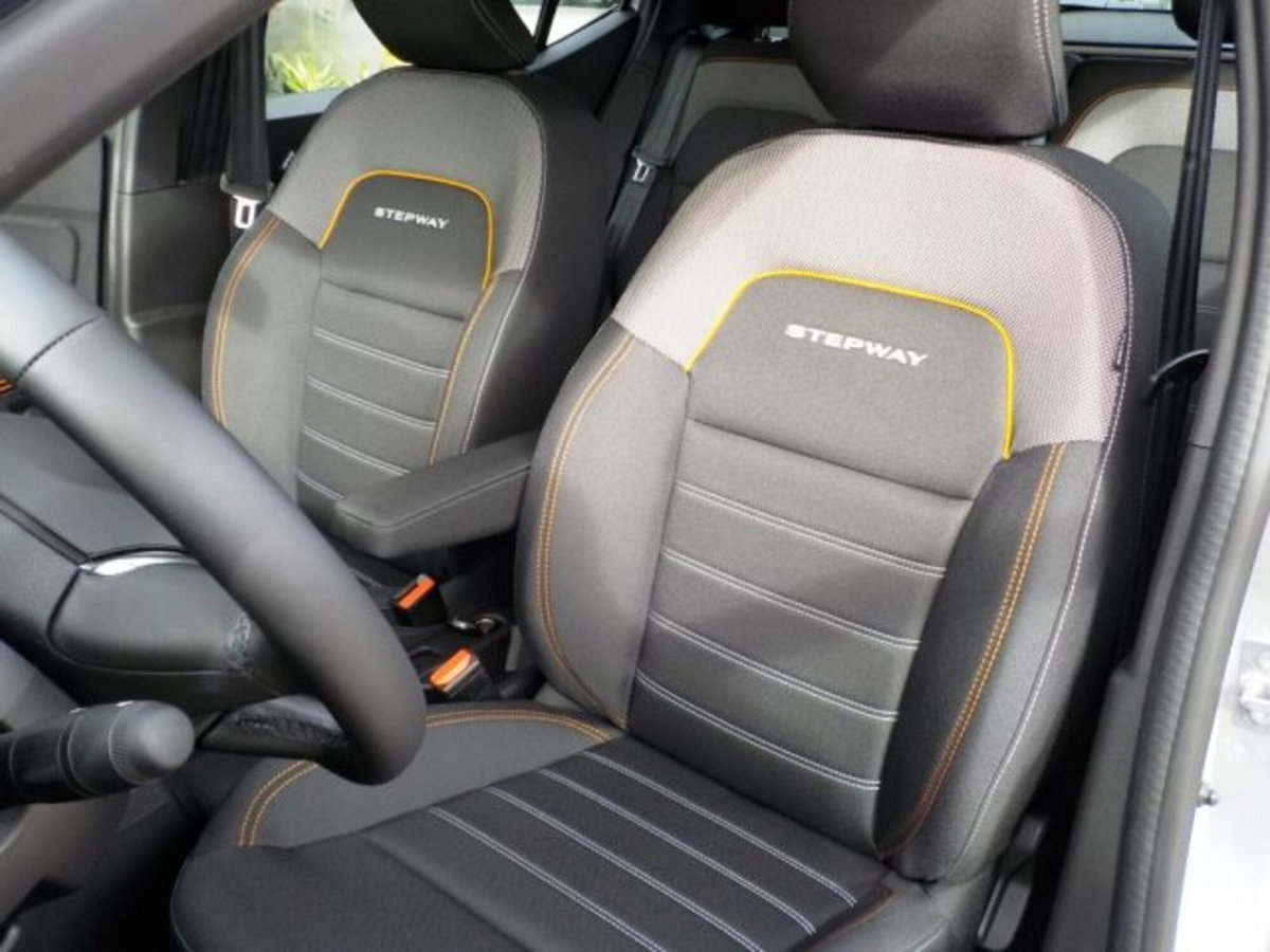 Dacia Sandero Stepway 1.2 Eco-G Extreme 120cv auto (8)