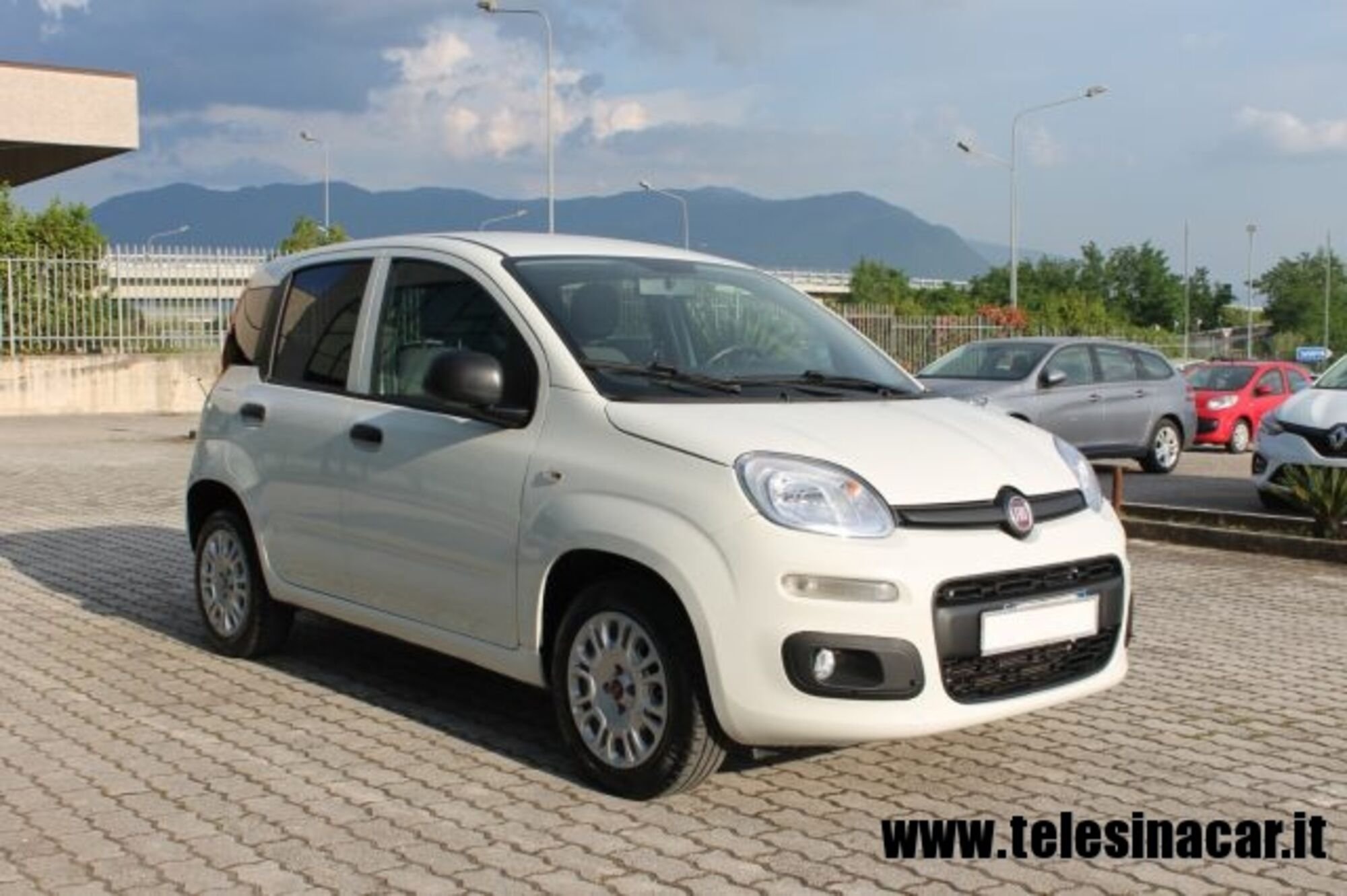 Fiat Panda 1.2 Easy Van 4 posti 
