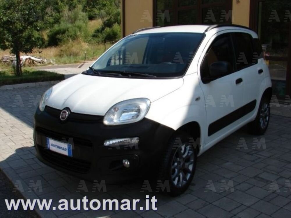Fiat Panda 1.3 MJT 4x4 Pop Van 2 posti